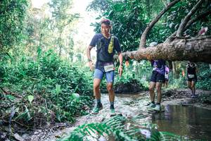 BIB: 
                            <button type="button" onclick="openModal(25443395)" class="btn btn-primary btn-sm float-right btn-popup" data-toggle="modal" data-target=".modal-high-quality">
                        <i class="fas fa-shopping-cart"></i> Add to Cart
                    </button>
                                            <button type="button" onclick="isThisMe(25443395, true)" class="btn btn-success btn-sm float-right btn-popup btn-isme hidden" data-toggle="tooltip" data-placement="bottom" title="นี่คือรูปของคุณใช่ไหม คลิกที่นี่เพื่อเอาเข้าอัลบั้ม">
                        <i class="fas fa-plus"></i> Add to album
                    </button>
                    <button type="button" onclick="isThisMe(25443395, false)" class="btn btn-warning btn-sm float-right btn-popup btn-isnotme hidden">
                        <i class="fas fa-ban"></i> Remove from album
                    </button>